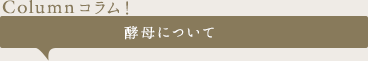 【Column コラム！】琉球泡盛の定義